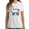 1-Hr DTG Ladies Core Cotton Tee Thumbnail