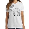 1-Hr DTG Ladies Core Cotton Tee Thumbnail