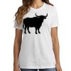 1-Hr DTG Ladies Core Cotton Tee Thumbnail