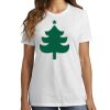 1-Hr DTG Ladies Core Cotton Tee Thumbnail