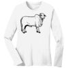 1-Hr Rush Ladies Long Sleeve T-Shirt Thumbnail